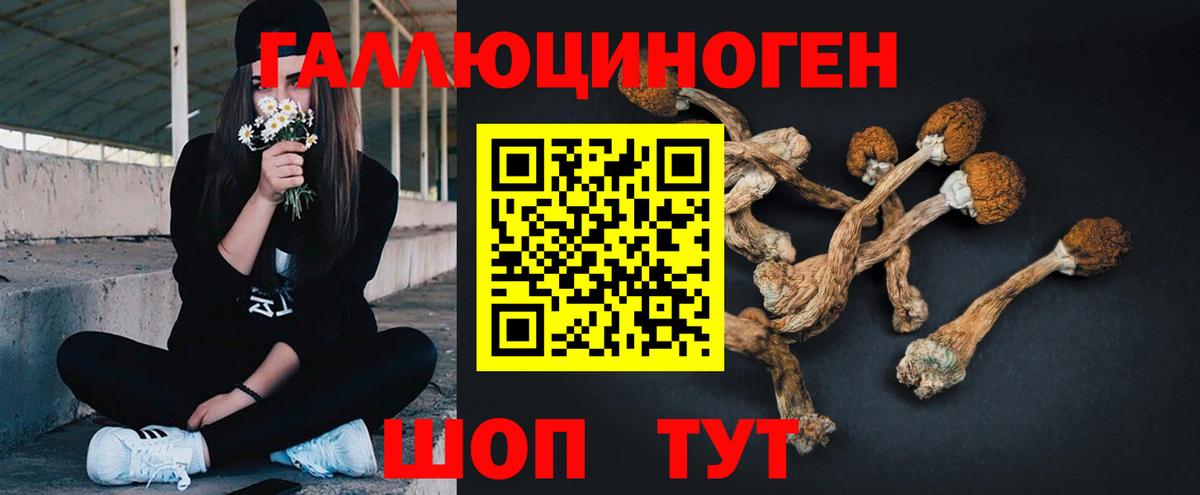 Лабытнанги  Галлюциногенные грибы MAGIC MUSHROOMS  Вход с VPN  Галлюциногенные грибы Magic Shrooms 
